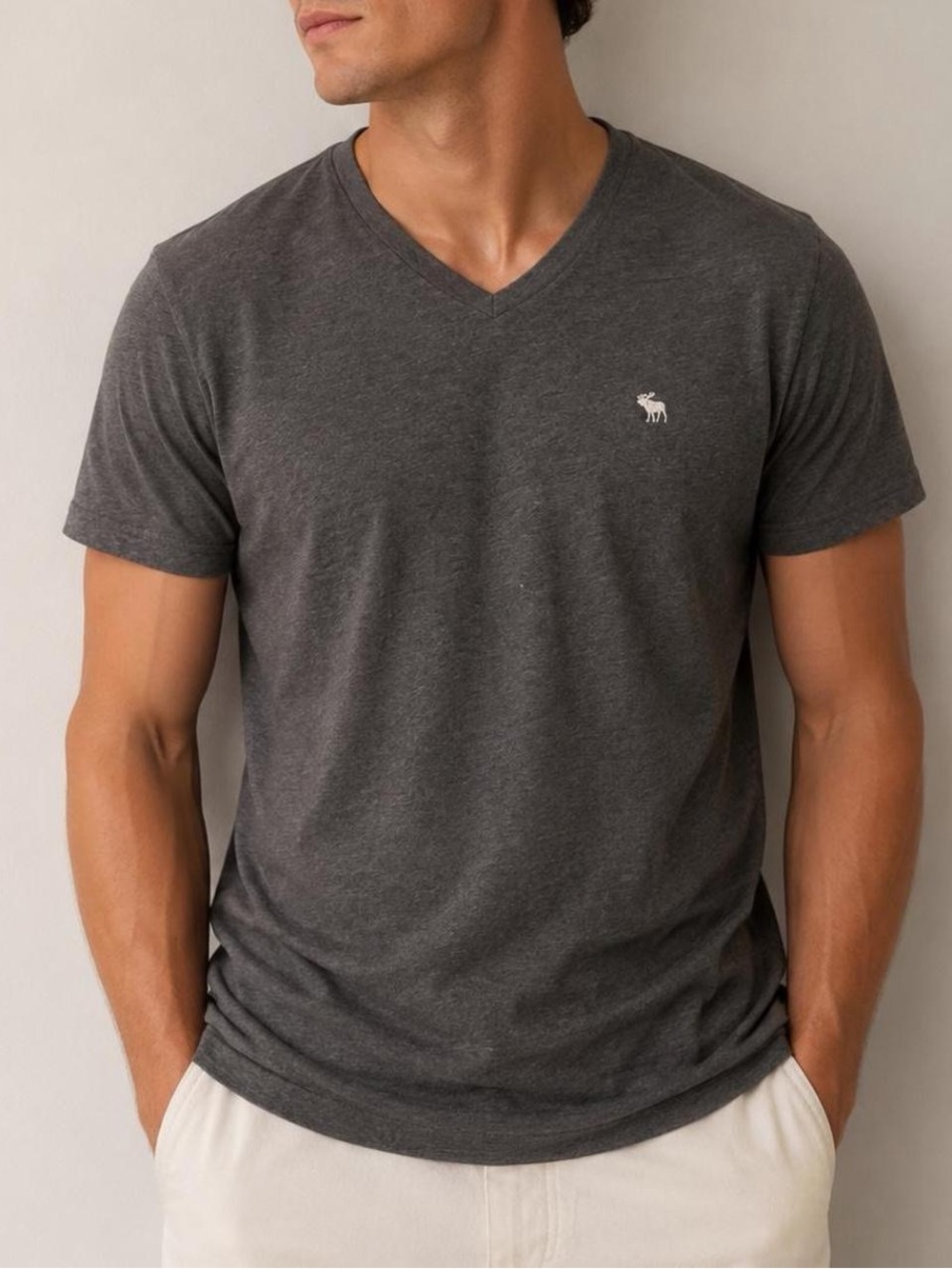 Abercrombie & Fitch Gray V-Neck Moose Logo T-Shirt Size Small